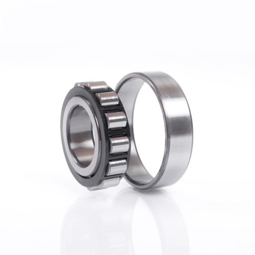 N317 MC3 NSK Zylinderrollenlager 85mm x 180mm x 41mm