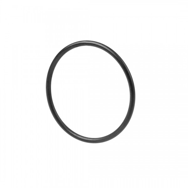 OR104.37-3.53 VI DICHTOMATIK O-Ring