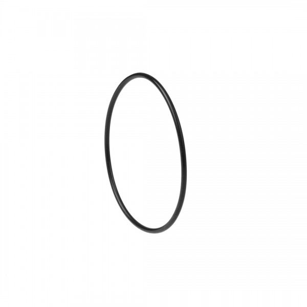 OR67-2.5 DICHTOMATIK O-Ring