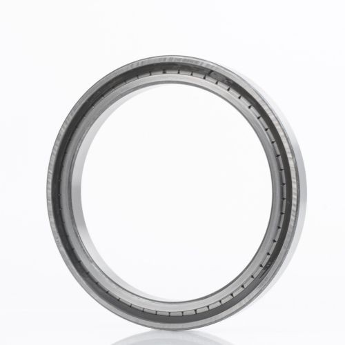 SL182215-C3 INA Zylinderrollenlager 75mm x 130mm x 31mm